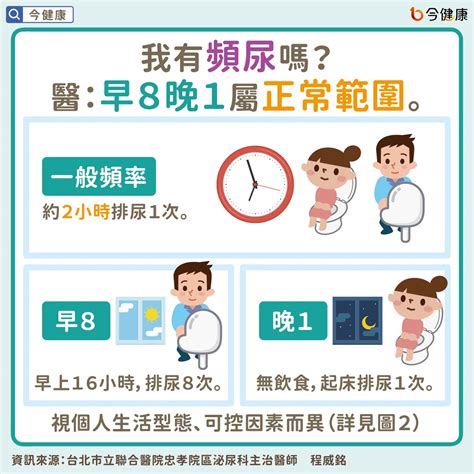 經常想去廁所|頻尿、夜尿、一直跑廁所？醫指常見10原因，3種情況盡早檢查！